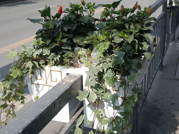 欄桿壁掛金屬花箱-道路護(hù)欄景觀花箱